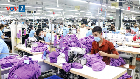 Xin đừng đủng đỉnh Giêng-Hai (31/1/2023)