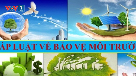 Sau 1 năm Luật Bảo vệ môi trường có hiệu lực – Số vụ vi phạm pháp luật về môi trường giảm (06/01/2023)