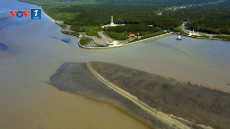 Phát triển du lịch gắn với bảo tồn khu Ramsar Mũi Cà Mau (20/08/2023)