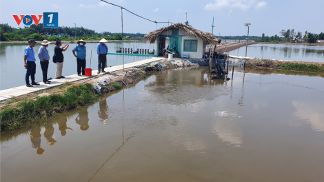Phát huy tốt giá trị thương hiệu đặc sản Cần Giờ. (13/10/2023)