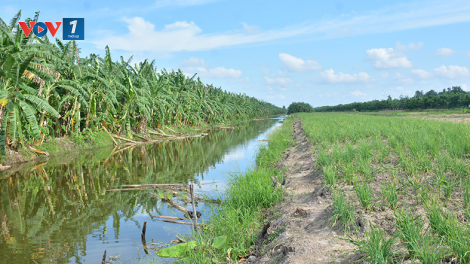 Khát vọng khởi nghiệp từ tài nguyên bản địa tại khu Ramsar U Minh Thượng (20/4/2023)