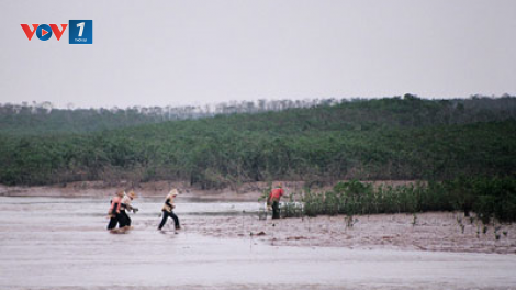 Chung tay bảo vệ, tái tạo và phát triển nguồn lợi thủy sản tại khu Ramsar Xuân Thuỷ (12/05/2023)