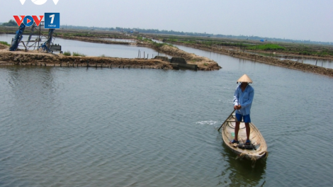 Thừa Thiên Huế - Phát triển hệ đầm phá Tam Giang - Cầu Hai trở thành “Công viên đầm phá Quốc gia” (20/05/2023)