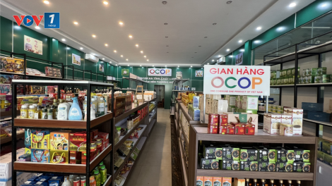 Hà Tĩnh nâng cao chất lượng an toàn nông sản, thực phẩm những tháng cuối năm (19/10/2023)
