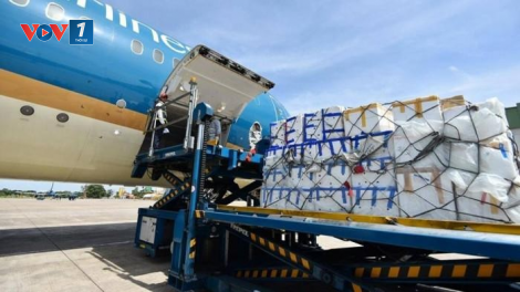 Chống vận chuyển trái phép hàng hóa qua Cảng hàng không quốc tế Nội Bài( 3/10/2023)