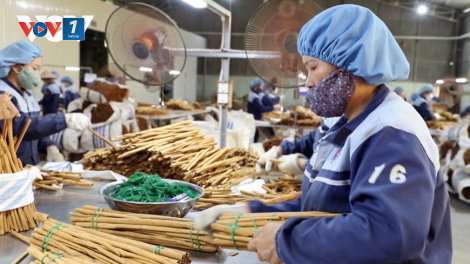 Hình thành chuỗi cung ứng, tiêu thụ sản phẩm vùng đồng bào dân tộc thiểu số và miền núi (17/10/2023)