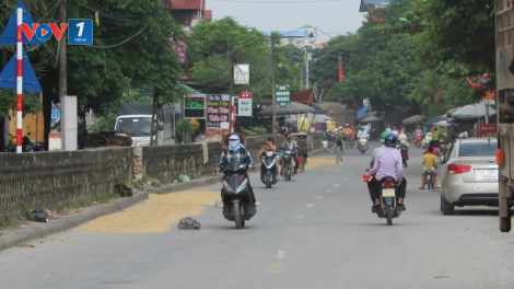 Phơi thóc giữa đường, lợi bất cập hại