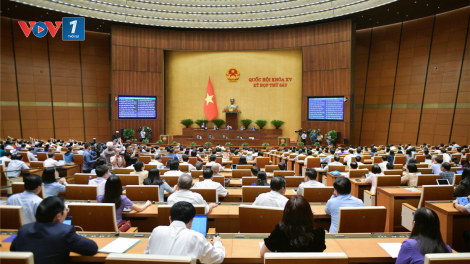 Rà soát hệ thống văn bản quy phạm pháp luật (03/11/2023)