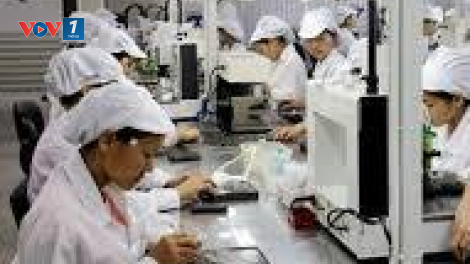 Thị trường việc làm cuối năm 2023: Nhiều tín hiệu khởi sắc (20/11/2023)