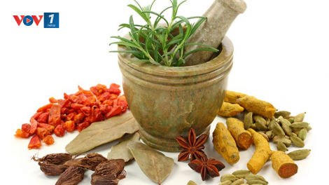 THỜI SỰ 6H SÁNG 06/11/2023: Cảnh báo hệ lụy từ việc người bệnh tự ý sử dụng các bài thuốc dân gian chữa suy thận khiến tình trạng bệnh lý trở nên trầm trọng
