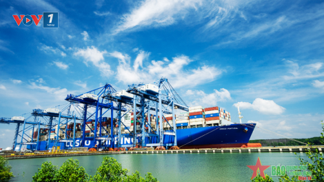 Tăng kết nối – phát triển cảng biển Xanh (16/11/2023)