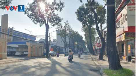 THỜI SỰ 6H SÁNG 1/11/2023: Thử nghiệm công trình chống ngập mới, đường phố Cần Thơ không còn ngập úng.