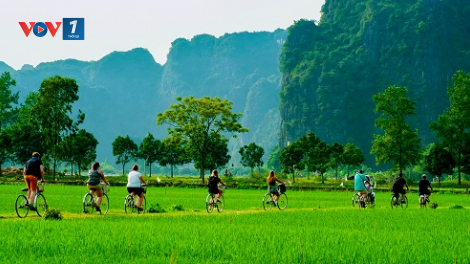 Phát triển du lịch xanh: Hướng đi bền vững của du lịch Việt Nam (02/11/2023)