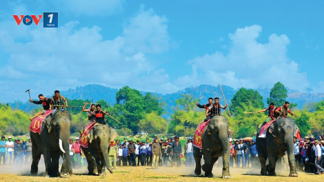 THỜI SỰ 21H30 ĐÊM 12/11/2023: Tây Nguyên tìm giải pháp phát triển bền vững du lịch văn hoá và du lịch sinh thái