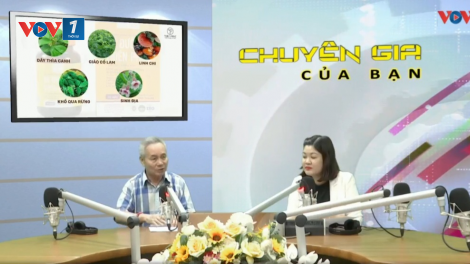 Sử dụng thuốc tiểu đường và giải pháp giúp hạn chế tác dụng phụ (11/11/2023)