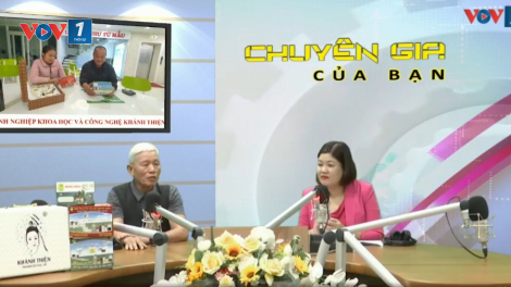 Chữa bệnh đông y hiệu quả nhờ sử dụng máy cứu ngải và thuốc bào chế từ ngải cứu (16/11/2023)