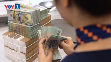 Việt Nam không thao túng tiền tệ (09/11/2023)