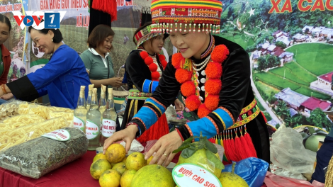 Kết nối giao thương, thúc đẩy tiêu thụ sản phẩm, hàng hóa tiềm năng của khu vực miền núi, vùng sâu, vùng xa và hải đảo (21/11/2023)