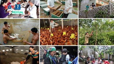 “Chung tay giúp hộ nghèo giảm nghèo nhanh, bền vững” (27/11/2023)