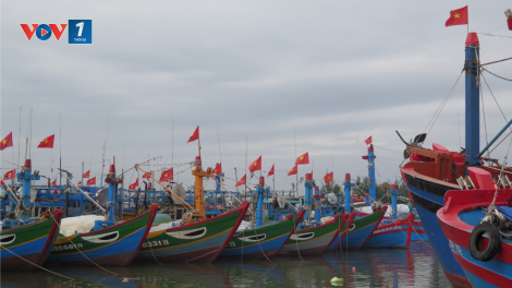 Nghĩa vụ và trách nhiệm của Việt Nam khi tham gia Hiệp định PSMA (24/12/2023)