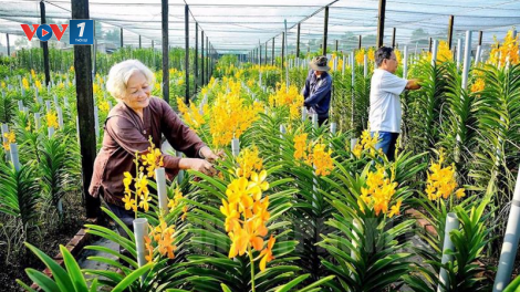 Đổi mới nông nghiệp cần thay đổi tư duy (12/12/2023)