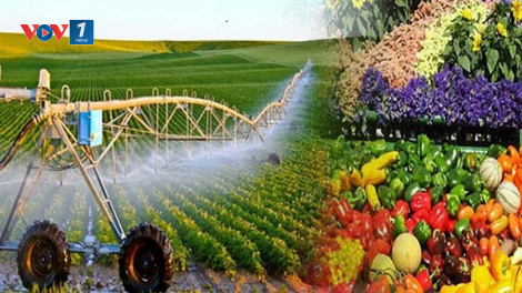 Nông nghiệp tăng trưởng cao nhất trong nhiều năm trở lại đây (29/12/2023)