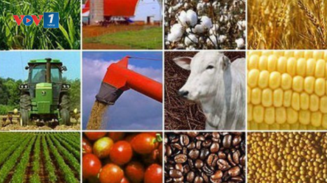 THỜI SỰ 21H30 ĐÊM 29/12/2023: Kết thúc năm 2023, ngành Nông nghiệp đạt mức tăng trưởng cao nhất trong 10 năm trở lại đây với nhiều kỷ lục được thiết lập