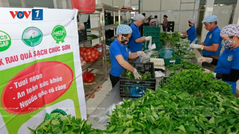 Những trăn trở của các Hợp tác xã Nông nghiệp (22/12/2023)