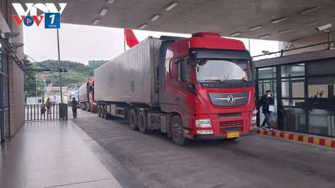 Lào Cai tăng cường xử lý vi phạm gian lận thương mại, phòng chống buôn lậu dịp cuối năm  (08/12/2023)