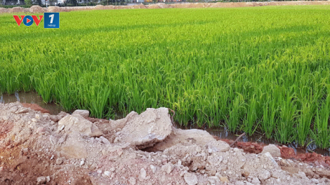 Vĩnh Phúc: Nhiều điểm nghẽn trong giải phóng mặt bằng (11/12/2023)