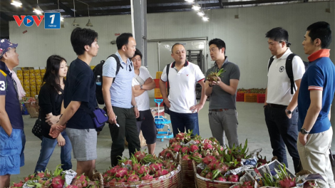 Nông sản xuất khẩu đang gặp khó (20/02/2023)
