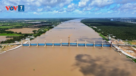 Đồng bằng sông Cửu Long - nhiều giái pháp ứng phó mặn xâm nhập (09/02/2023)