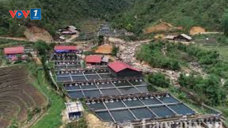 Lào Cai: hiệu quả từ nghề nuôi cá nước lạnh (25+26/02/2023)