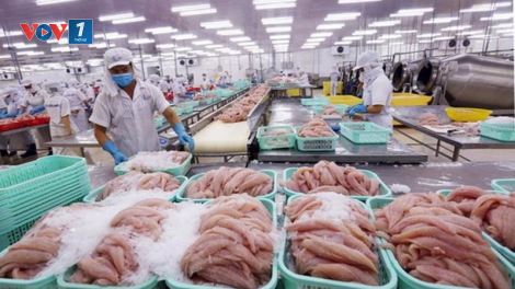 THỜI SỰ 6H SÁNG 28/2/2023: Xuất khẩu thuỷ sản đang khó khăn hơn so với cùng kỳ năm trước