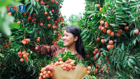 “Dấu ấn Nghị quyết của Đảng trong định hướng phát triển nông nghiệp, nông dân và nông thôn” (03/02/2023)