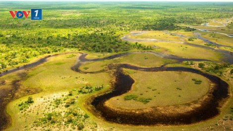 Khám phá đồng bằng Okavango - ốc đảo diệu kỳ của châu Phi (18/03/2023)