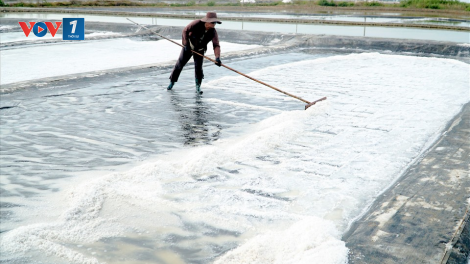 Diêm dân Bà Rịa - Vũng Tàu sống được nhờ giá muối (20/03/2023)