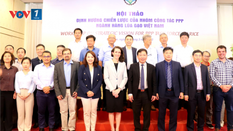 Thành lập Nhóm công tác công tư (PPP) ngành hàng lúa gạo (07/03/2023)