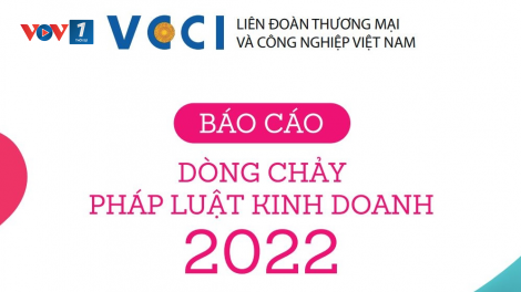 Dòng chảy Pháp luật kinh doanh 2022: Những "điểm nghẽn" cần khơi thông (07/04/2023)