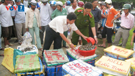 Tăng cường kiểm tra, xử lý vi phạm an toàn thực phẩm (18/4/2023)