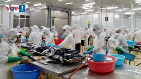 Xuất khẩu thủy sản quí I/2023 sụt giảm do đâu (22&23/04/2023)