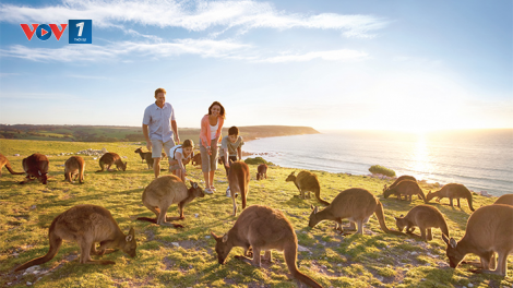Triển vọng Chiến lược quốc gia về Du lịch đến năm 2030 của Australia (05/04/2023)
