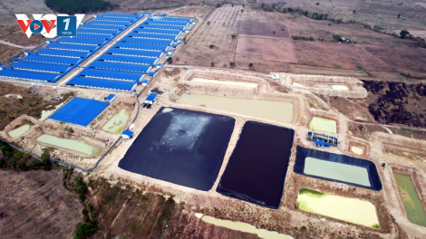 Hàng loạt bất cập từ việc phát triển ồ ạt các dự án chăn nuôi ở Gia Lai (25/04/2023)