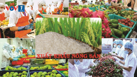 Mở rộng thị trường, thúc đẩy xuất khẩu nông sản và ổn định sản xuất (04/04/2023)