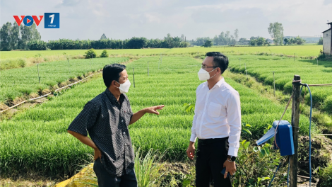 Bài 2 Loạt bài "Sửa đổi Luật HTX: Mở cánh cửa cho HTX vươn xa" - "Hoàn thiện thể chế, tạo chuyển biến về chất và lượng cho hợp tác xã" (27/04/2023)