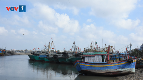 THỜI SỰ 6H SÁNG 7/4/2023: Đánh bắt thua lỗ, hàng loạt chủ tàu đánh bắt xa bờ ở Bà Rịa – Vũng Tàu rao bán tàu