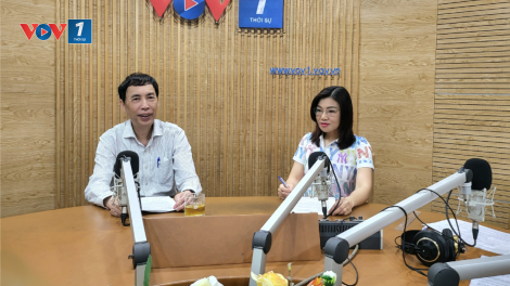 Định vị Thương hiệu quốc gia Việt Nam Xanh đang đặt ra những yêu cầu gì? (20/4/2023)