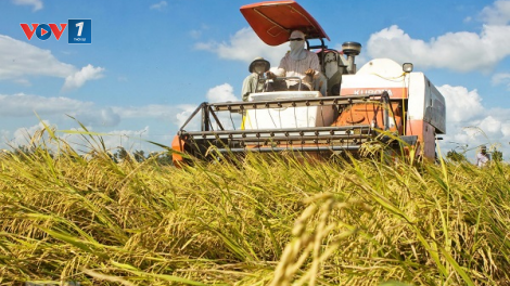 Khát vọng kiến tạo quốc gia nông nghiệp (29+30/04/2023)