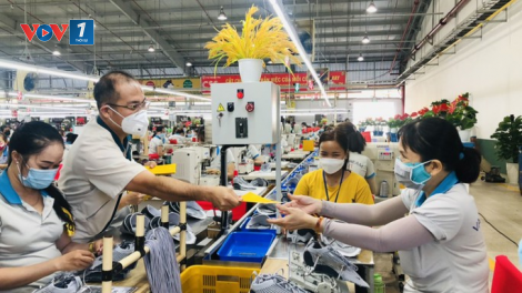 Tạo việc làm ổn định để người lao đông khuyết tật sớm hoà nhập cộng đồng (11/4/2023)