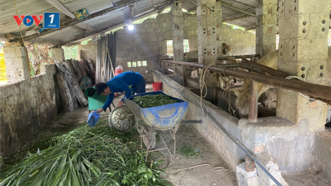 Hiệu quả nguồn vốn tín dụng chính sách trên địa bàn huyện Ngân Sơn, tỉnh Bắc Kạn (08/05/2023)